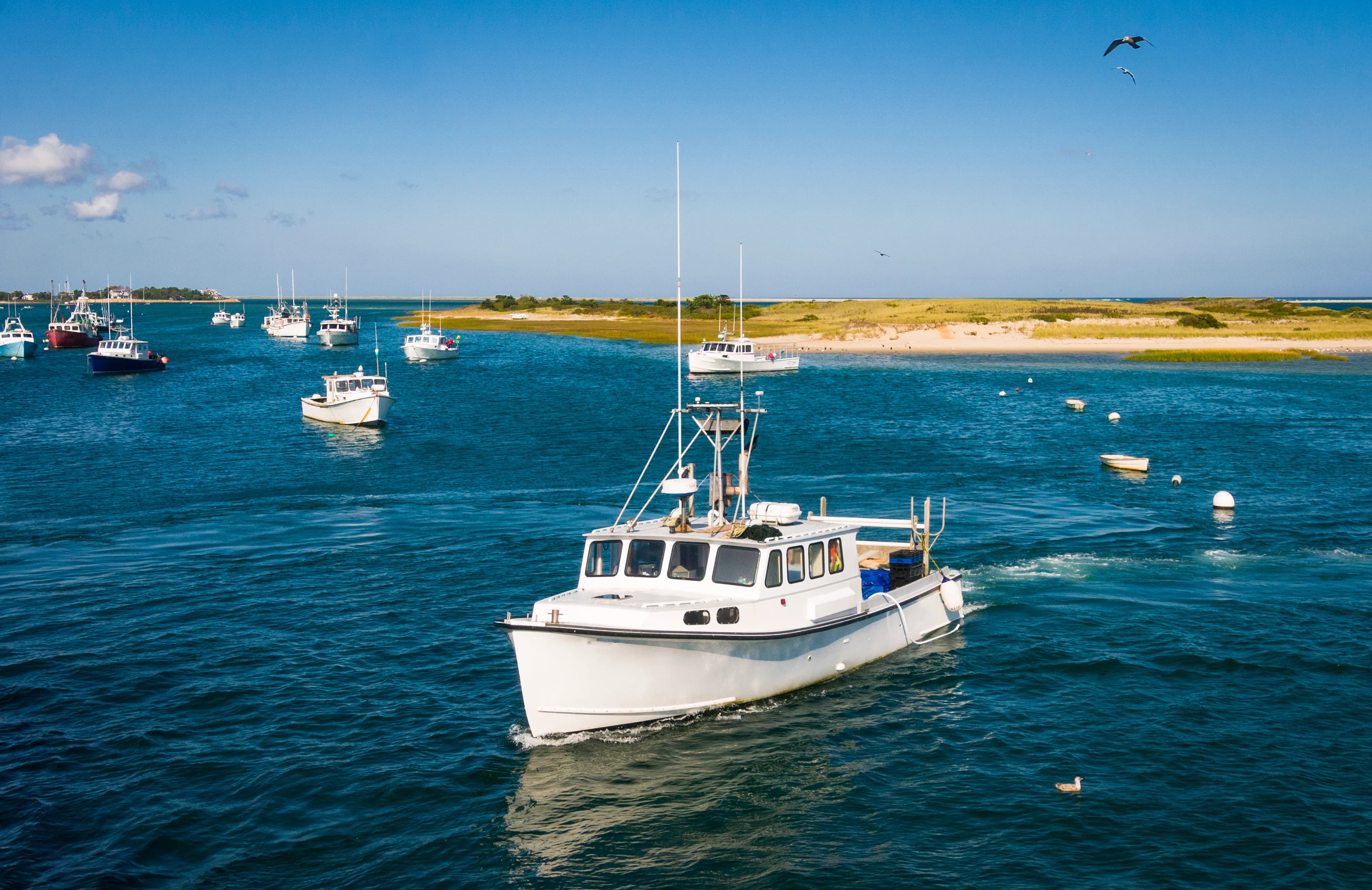 Commercial fishing boats returning to Chatham Fish Pier at Aunt Lydia's Cove