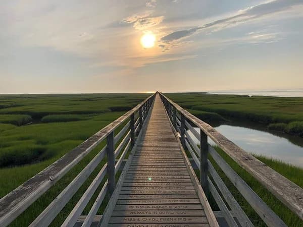 The elevated boardwalk crossing the tidal marsh at Gray’s Beach