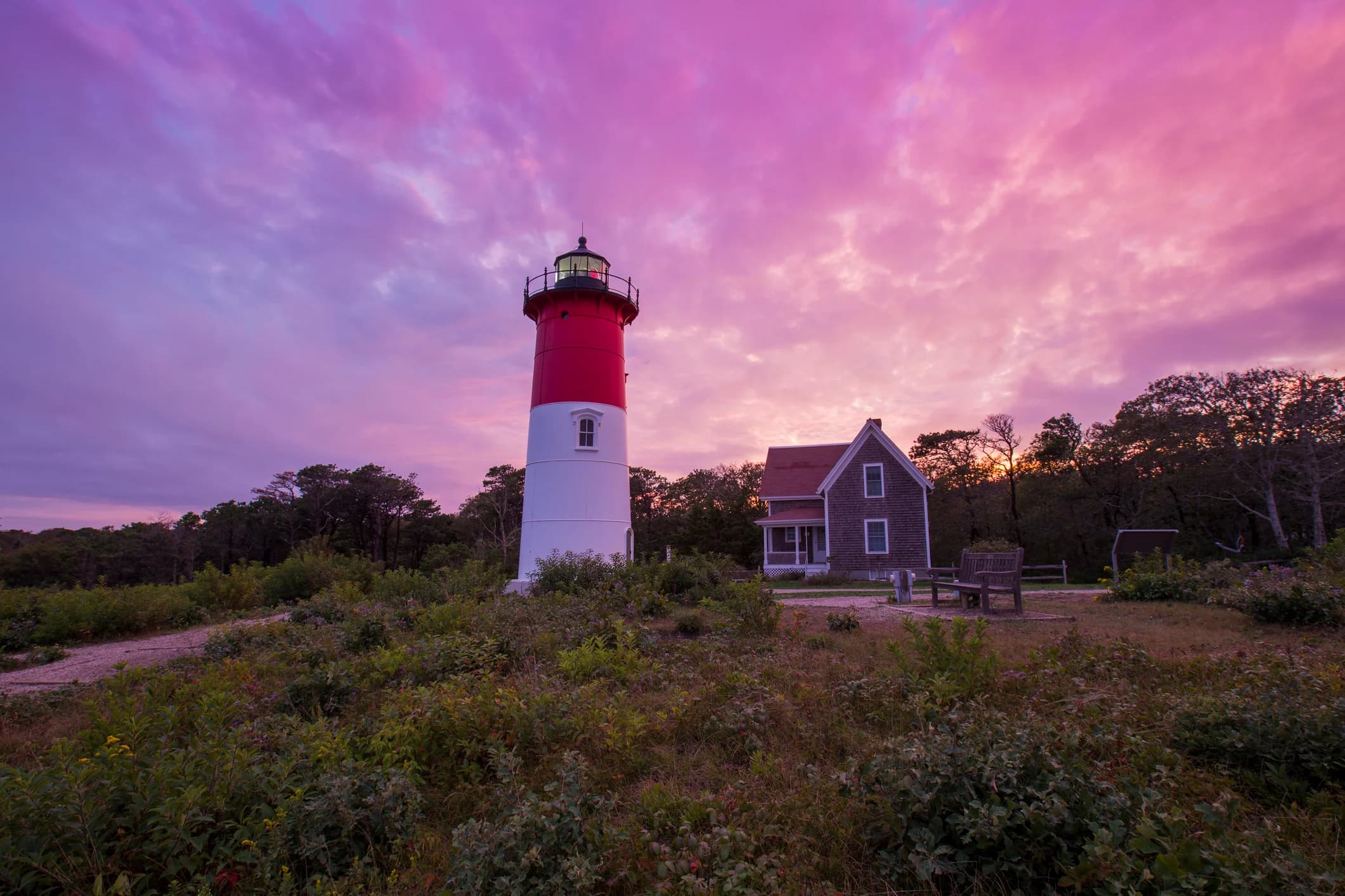 Nauset Light at sunset on the Outer Cape, surrounded by coastal vegetation