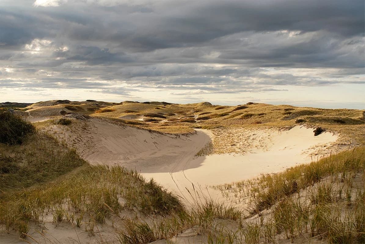 Rolling sand dunes of the Cape Cod National Seashore in Provincetown