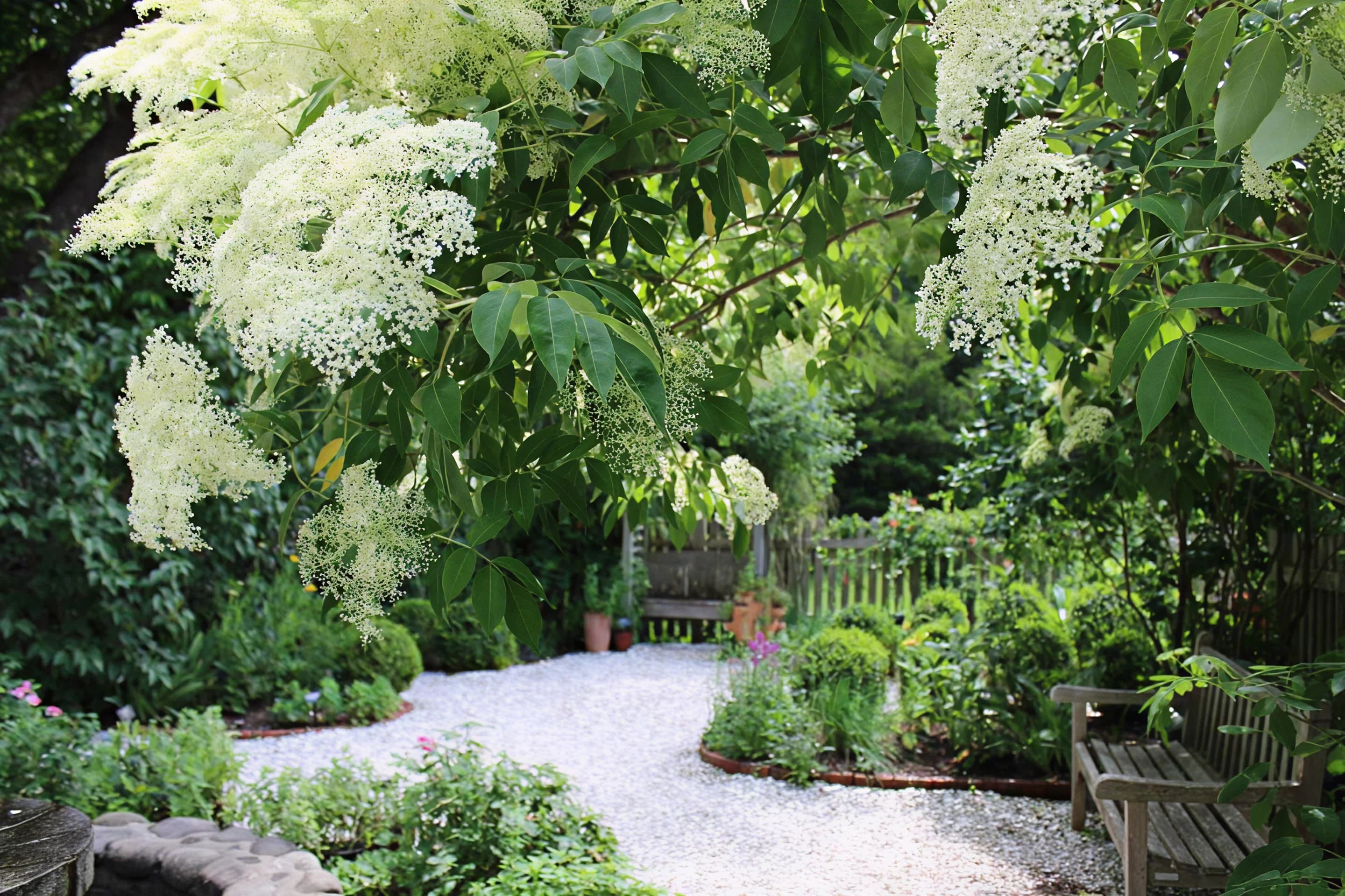 Blooming gardens and pathways at Heritage Museums & Gardens in Sandwich