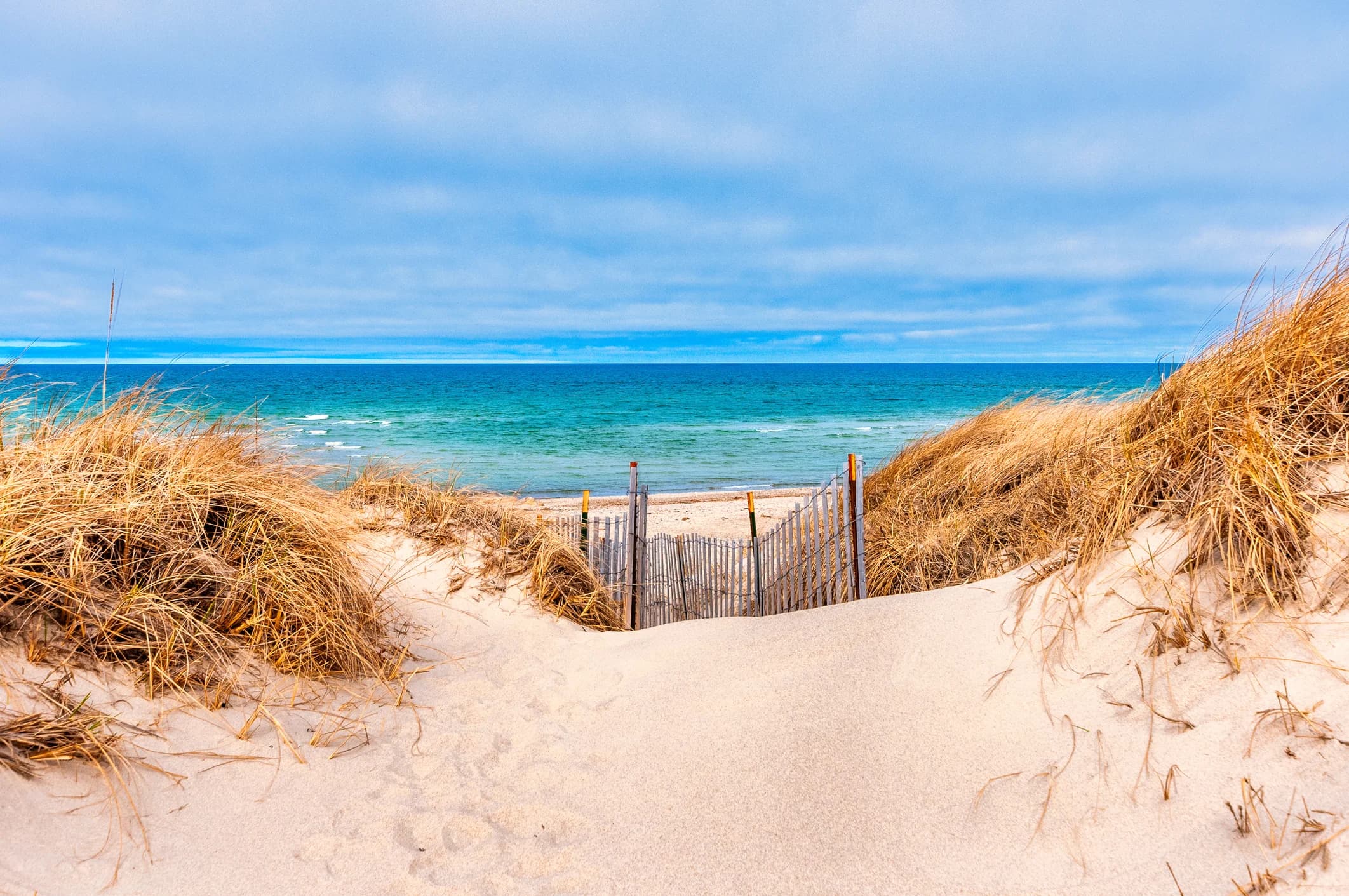Sweeping dunes and open ocean at Race Point Beach in Provincetown